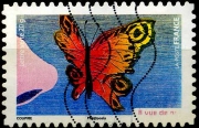 A vue de nez - Papillon